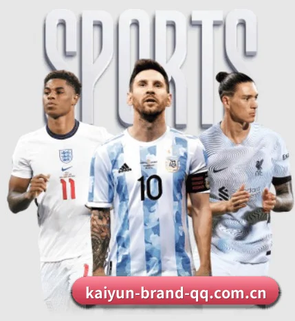 开云官网 APP 界面（kaiyun）
